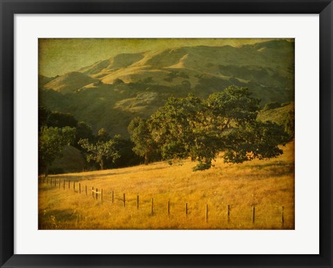 Framed Oak and Fence Print