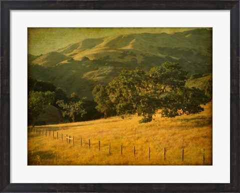 Framed Oak and Fence Print