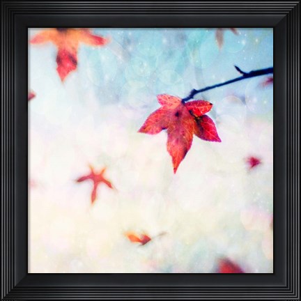 Framed All Fall Down Print
