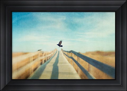 Framed Fly Print