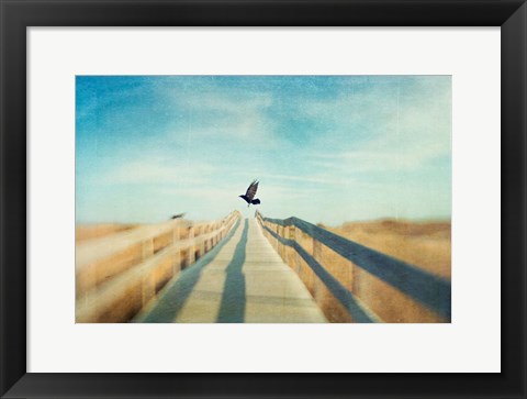 Framed Fly Print