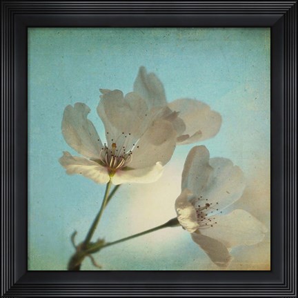 Framed Spring Sings Print