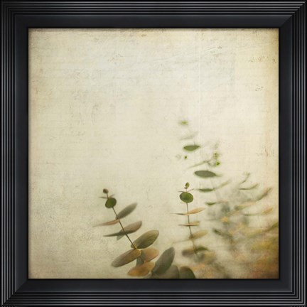 Framed Union Print