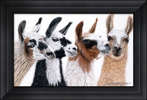 Framed Peruvian Visitors Print