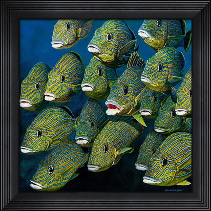 Framed Shoal of Grunts Print