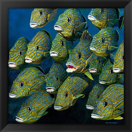 Framed Shoal of Grunts Print