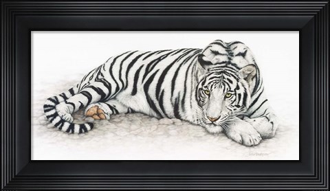 Framed Siberian Tiger Print