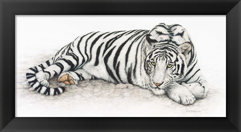 Framed Siberian Tiger Print