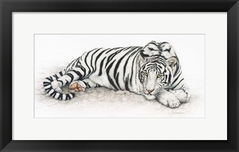 Framed Siberian Tiger Print