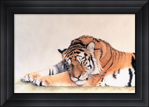 Framed Sleeping Tiger Print