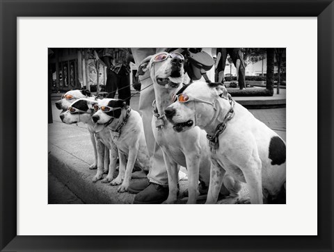Framed Afternoon Stroll Print