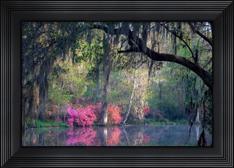 Framed Morning Serenity Print