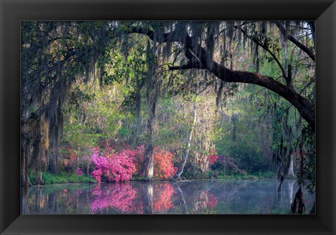 Framed Morning Serenity Print