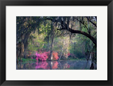 Framed Morning Serenity Print