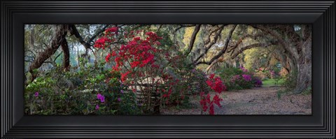 Framed Springtime Morning Print