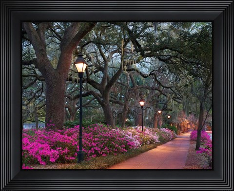 Framed Forsythe Park Print