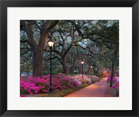 Framed Forsythe Park Print