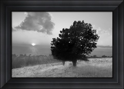 Framed Spitler Knoll Overlook Print