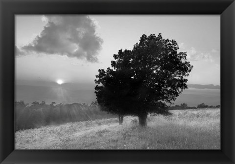 Framed Spitler Knoll Overlook Print