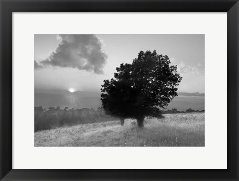 Framed Spitler Knoll Overlook Print