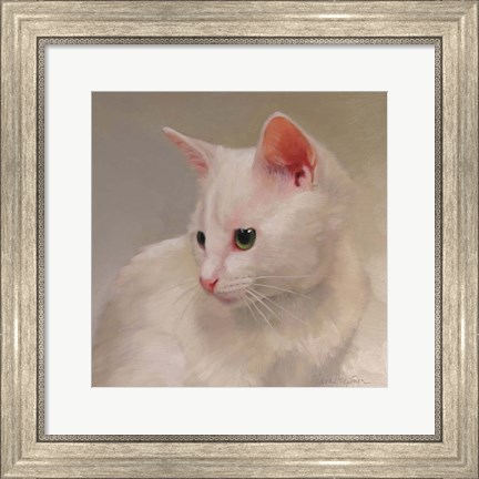 Framed White Kitten Print