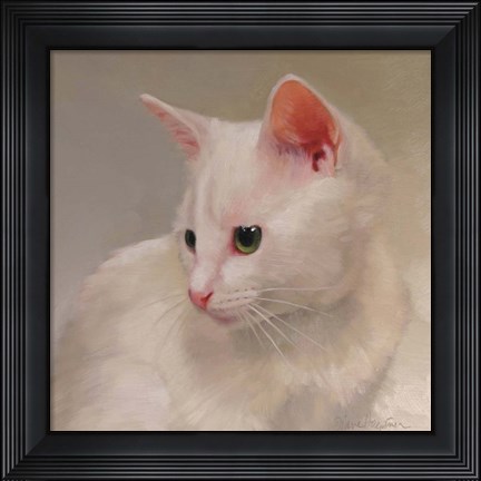 Framed White Kitten Print