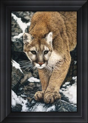Framed Silent Approach Print