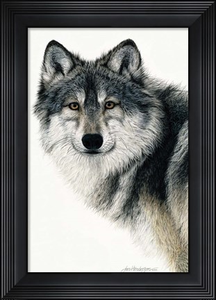 Framed Silent Watch Print