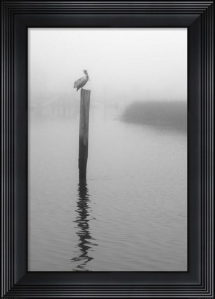 Framed On Pelican Marsh Print