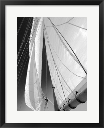 Framed Sailboat Sails Florida Print