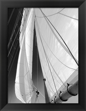 Framed Sailboat Sails Florida Print