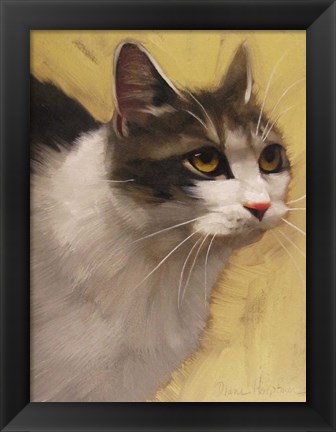 Framed Derby Cat Print