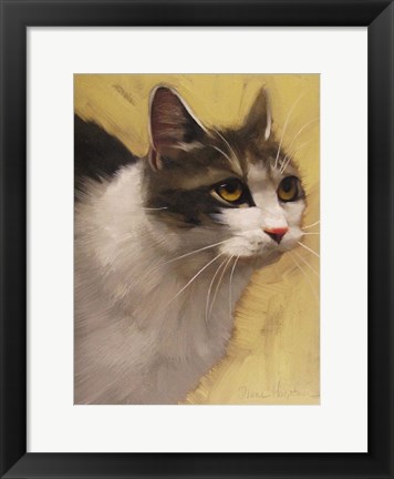 Framed Derby Cat Print