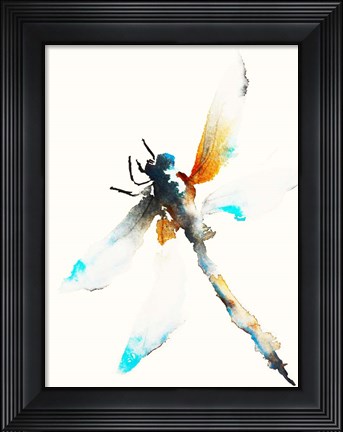 Framed Blue &amp; Brown Dragonfly Print