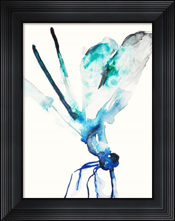 Framed Blue &amp; Green Dragonfly Print