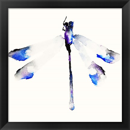 Framed Blue &amp; Violet Dragonfly Print