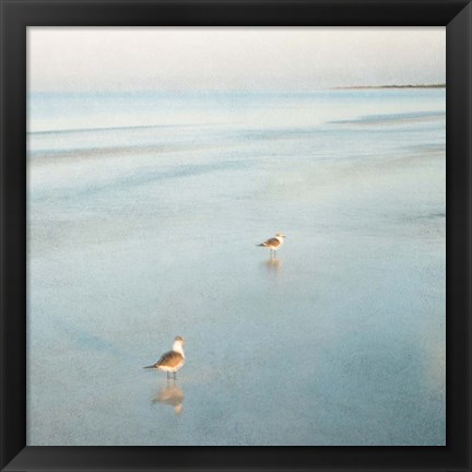 Framed Two Birds on Beach Print