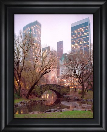 Framed Central Park, NYC Print