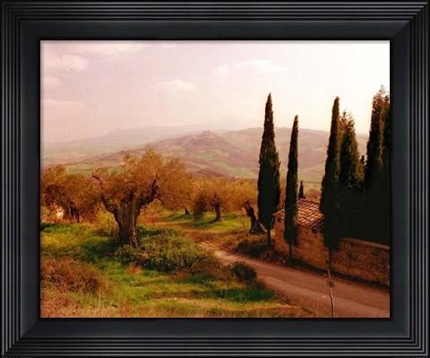 Framed Toscana, Italia No. 709 Print