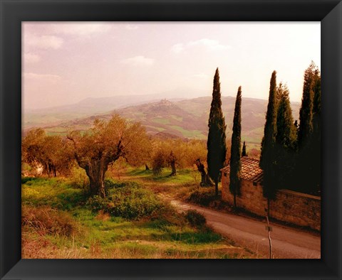 Framed Toscana, Italia No. 709 Print