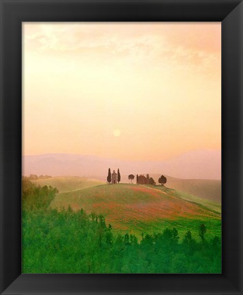 Framed Toscana, Italia No. 717 Print