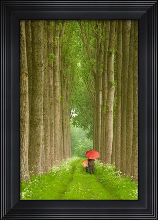 Framed Two Umbrellas, Belgium Print