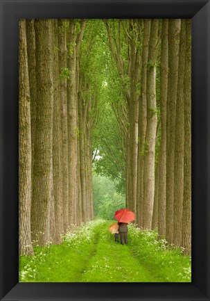 Framed Two Umbrellas, Belgium Print