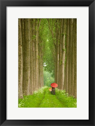 Framed Two Umbrellas, Belgium Print