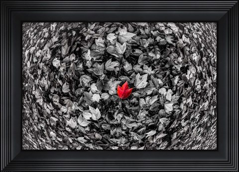 Framed Alone Print