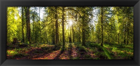 Framed Golden Forest Print