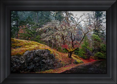 Framed On the Road Print