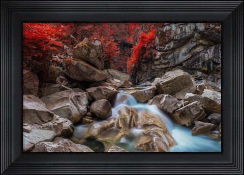 Framed Othello Tunnels Print