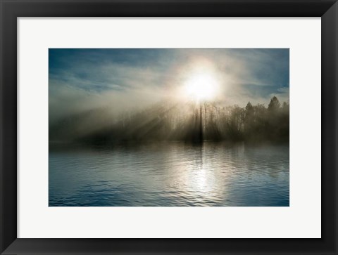 Framed Rising above the Water Print