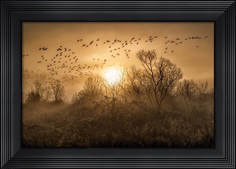 Framed Flight Print